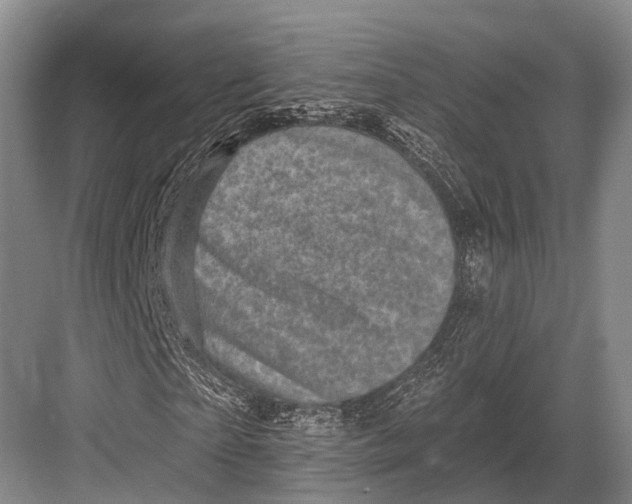 X0000082730865200702161905