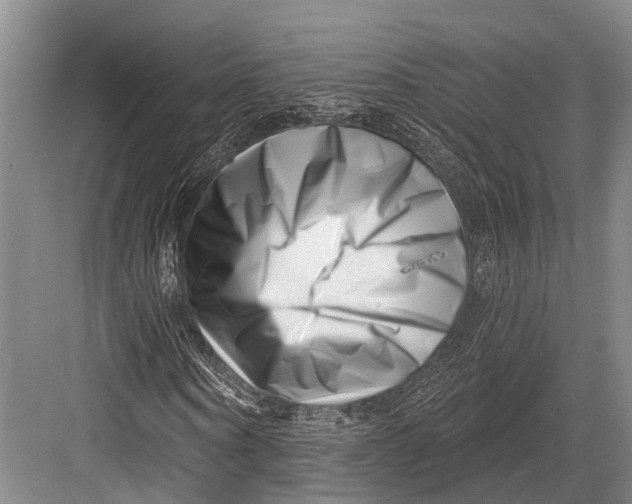 X0000082730866200702161905