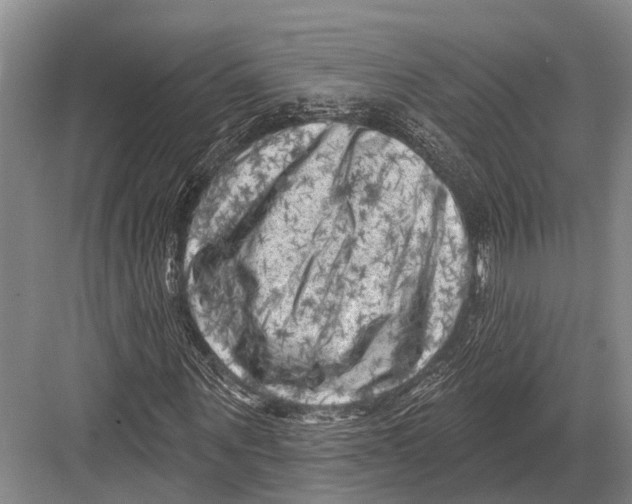 X0000082730867200702161905