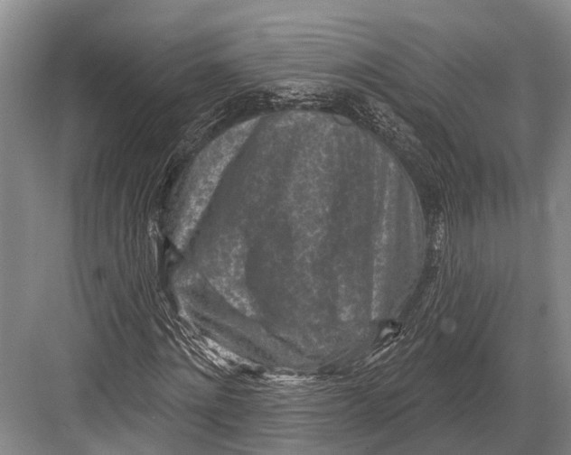 X0000082730868200702161905