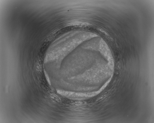 X0000082730869200702161905