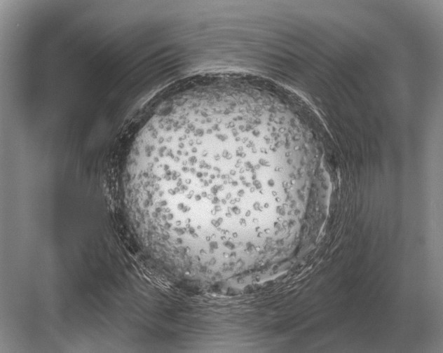 X0000082730871200702161905