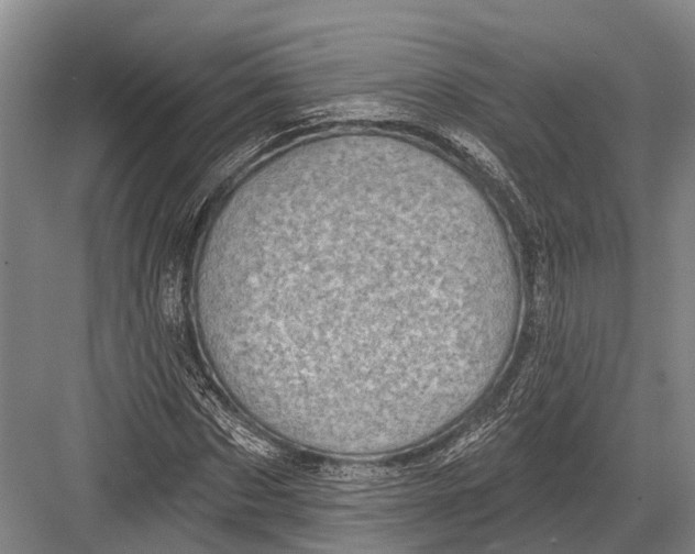 X0000082730873200702161904