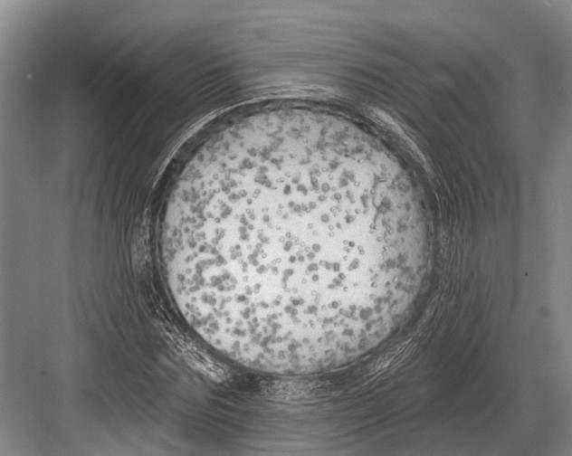 X0000082730875200702161904