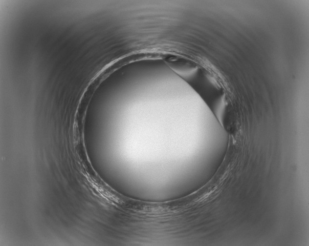 X0000082730876200702161904