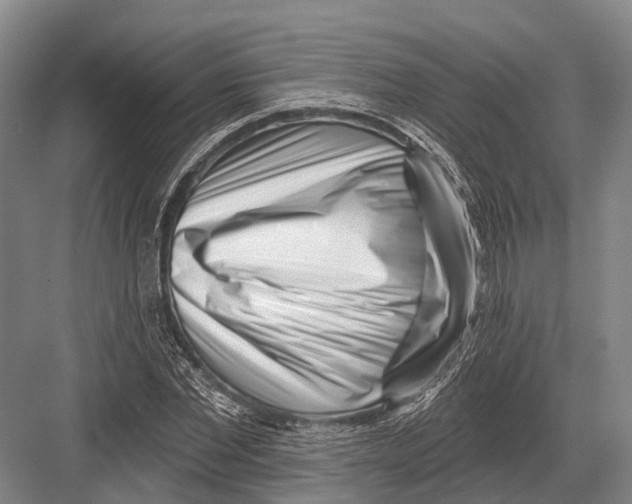 X0000082730877200702161904