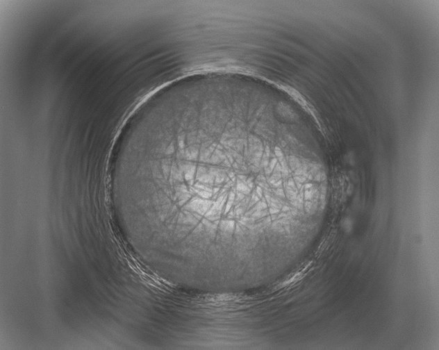 X0000082730879200702161904