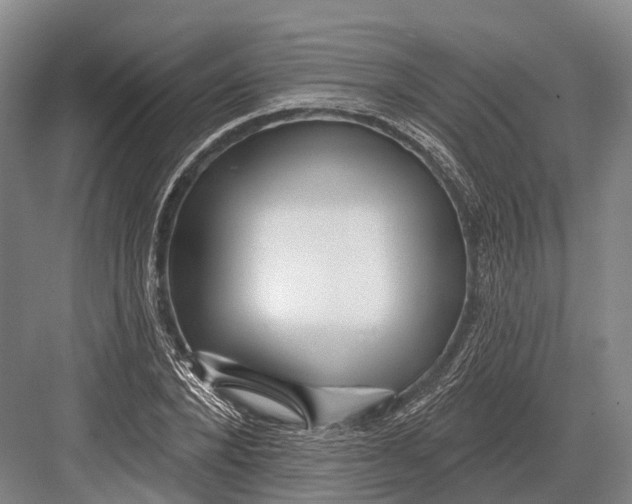 X0000082730880200702161904