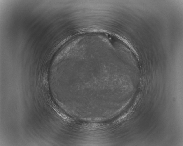 X0000082730881200702161904