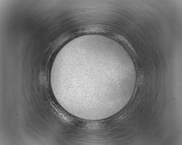 X0000082730882200702161904