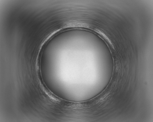 X0000082730885200702161904