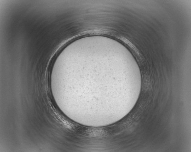 X0000082730886200702161904