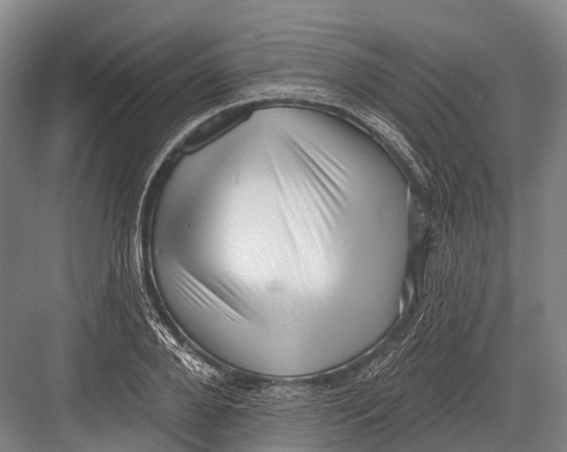 X0000082730888200702161904