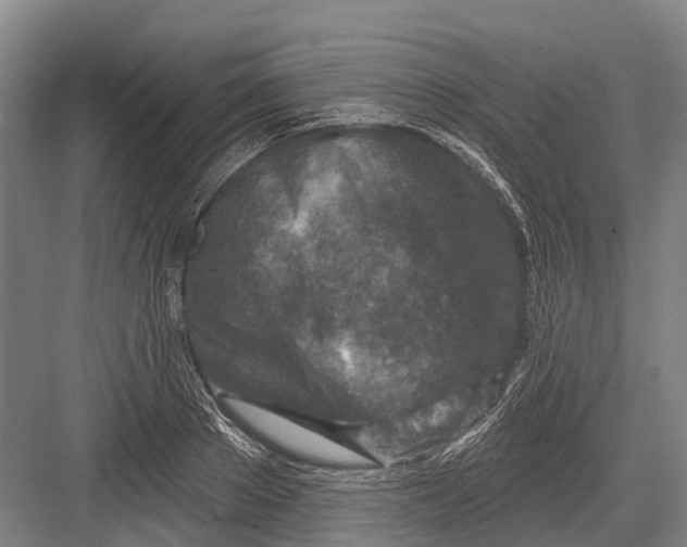 X0000082730889200702161904