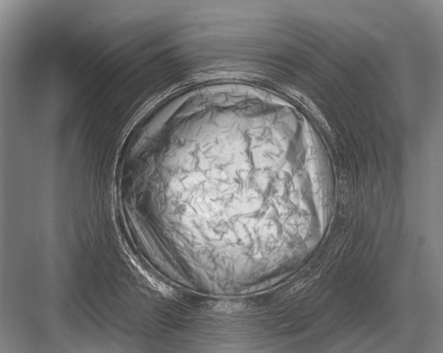 X0000082730890200702161904