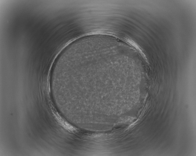 X0000082730892200702161904