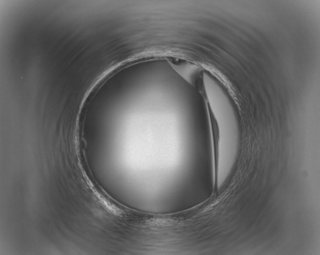 X0000082730894200702161904