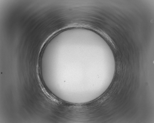 X0000082730896200702161904