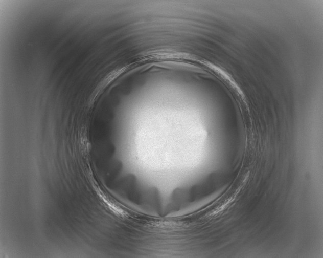 X0000082730897200702161904