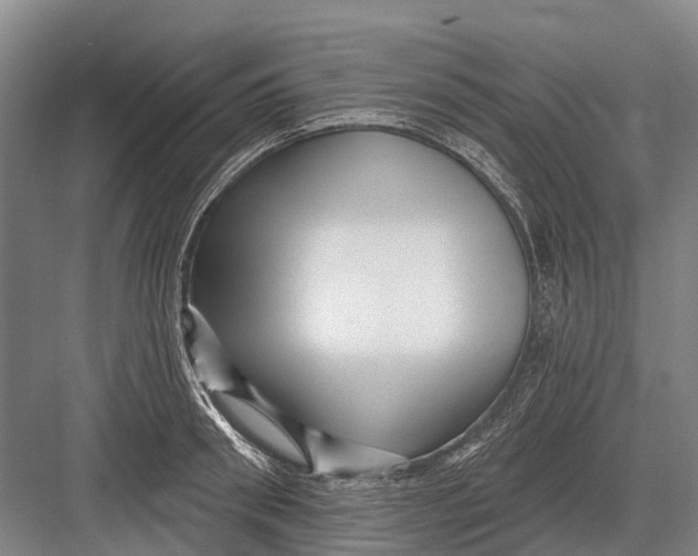 X0000082730898200702161904