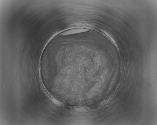 X0000082730899200702161904