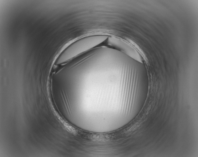 X0000082730901200702161904