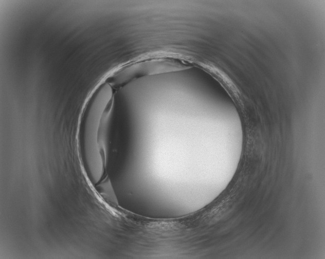 X0000082730902200702161904