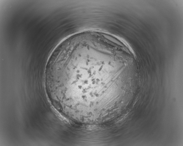 X0000082730903200702161904