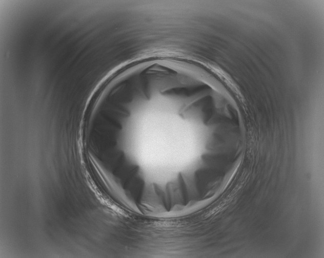 X0000082730904200702161904