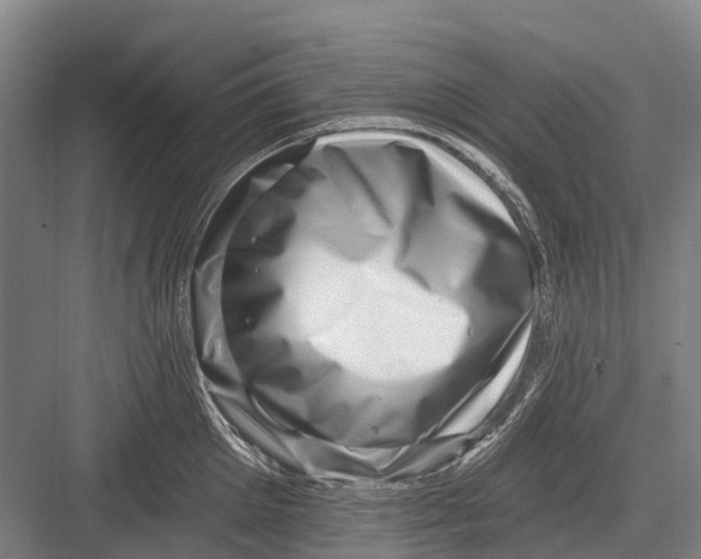 X0000082730905200702161904