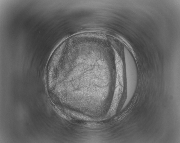 X0000082730907200702161904