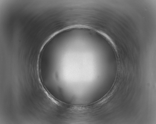 X0000082730910200702161904