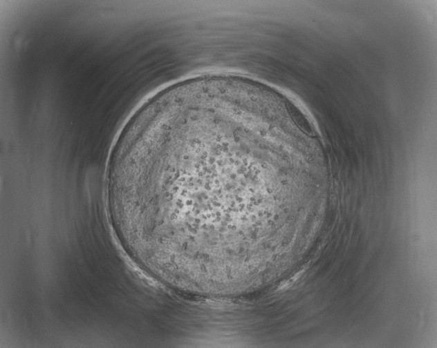 X0000082730911200702161904