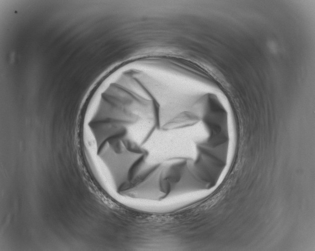 X0000082730912200702161904