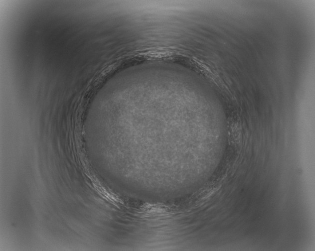 X0000082730913200702161903