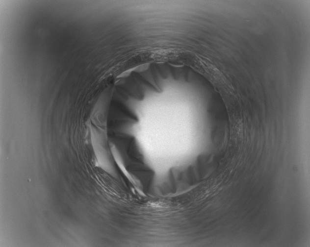 X0000082730914200702161903