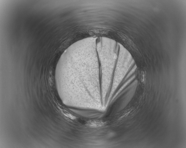 X0000082730915200702161903