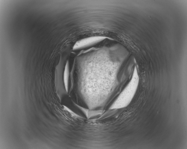 X0000082730916200702161903