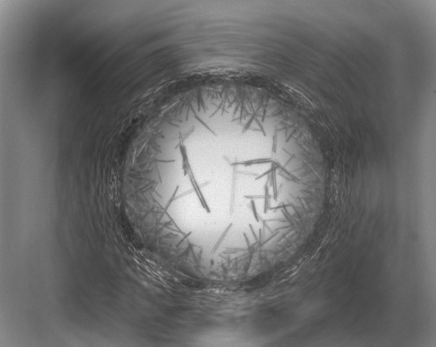 X0000082730917200702161903