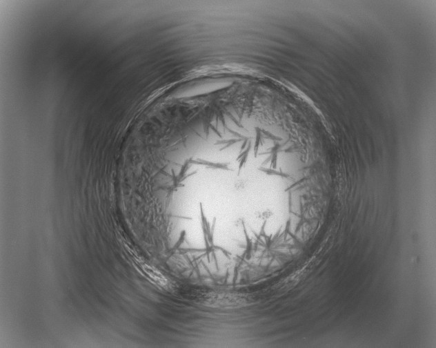 X0000082730921200702161903