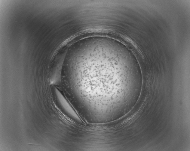 X0000082730922200702161903