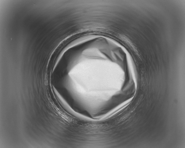 X0000082730924200702161903