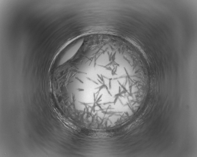 X0000082730925200702161903