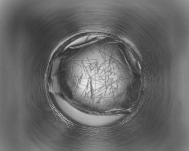 X0000082730928200702161903