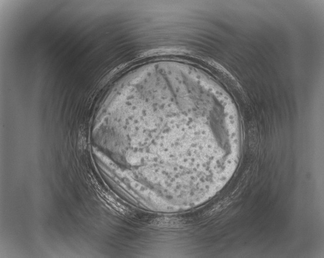 X0000082730929200702161903