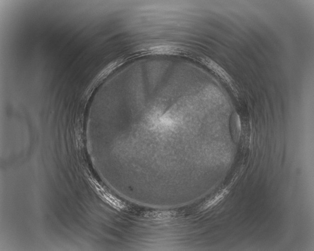 X0000082730930200702161903