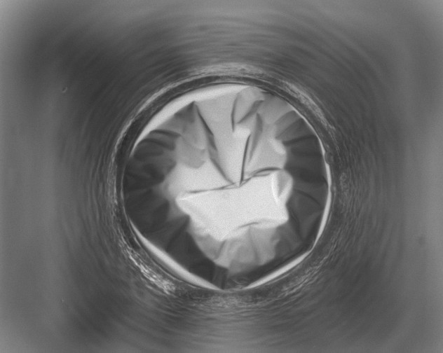 X0000082730931200702161903