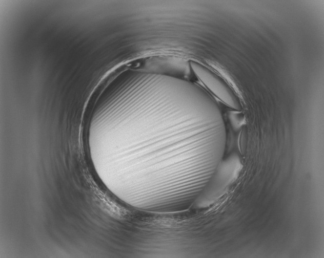 X0000082730932200702161903