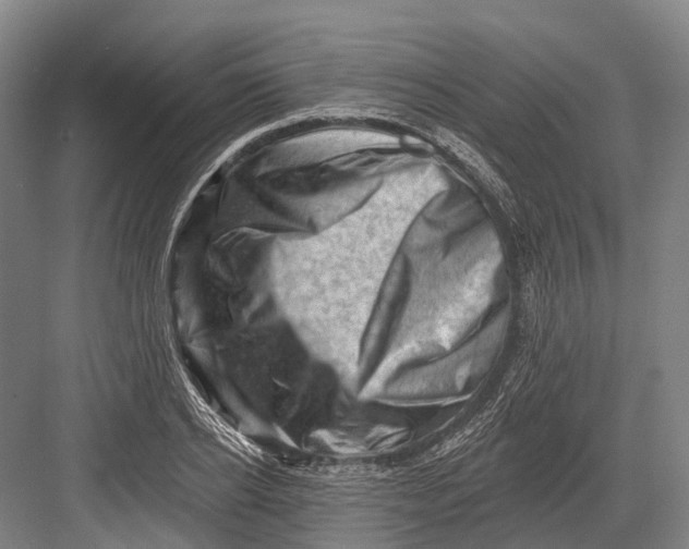 X0000082730934200702161903