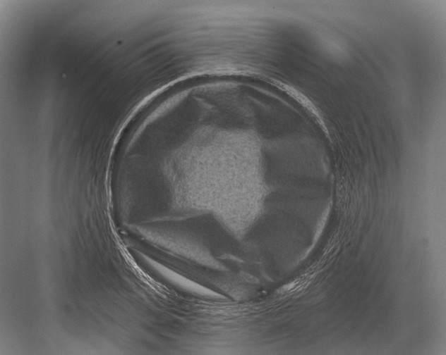 X0000082730935200702161903